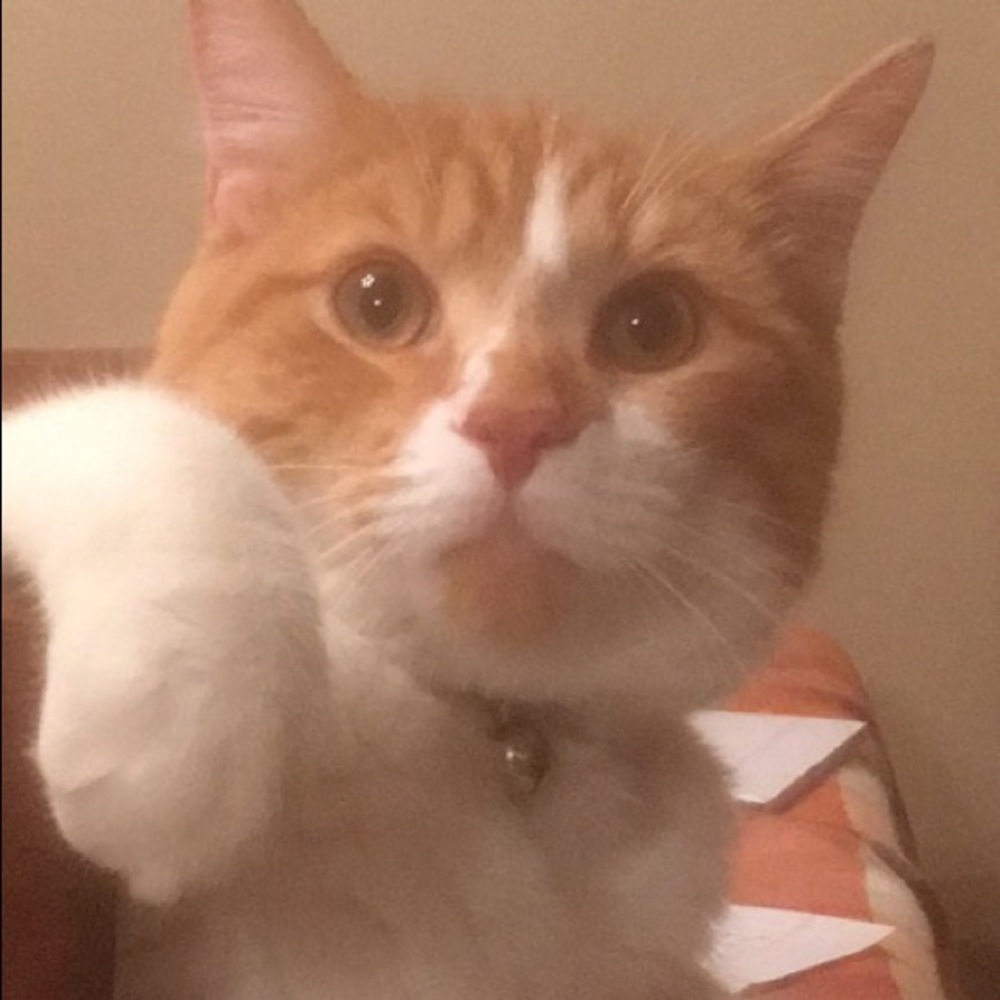 Meet your Posher, Mike